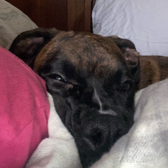 Meet your Posher, Leslie - Picture 1 of 1